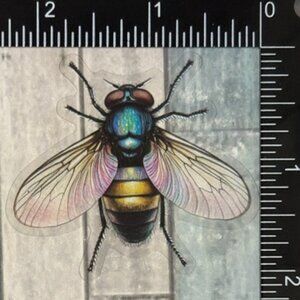 🌀10/$10🌀 Translucent Moth Dragonfly Beetle Reusable Waterproof Sticker Decal